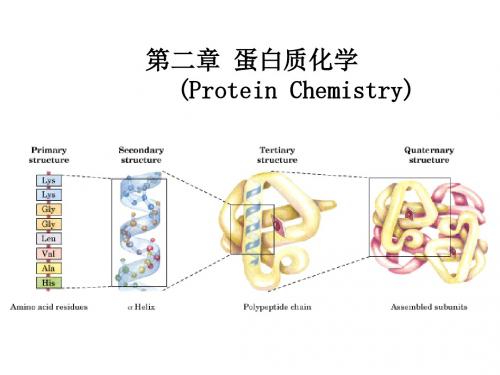 2-1 蛋白质化学江南大学食品学院生化课件.