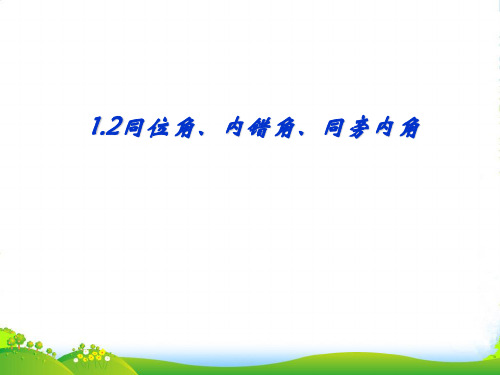 浙教版七年级数学下册第一章《 同位角、内错角、同旁内角 》公开课课件