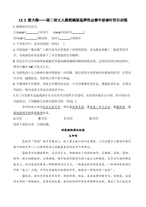 13_2 《致大海》课时优化训练(含解析)统编版高中语文选择性必修中册