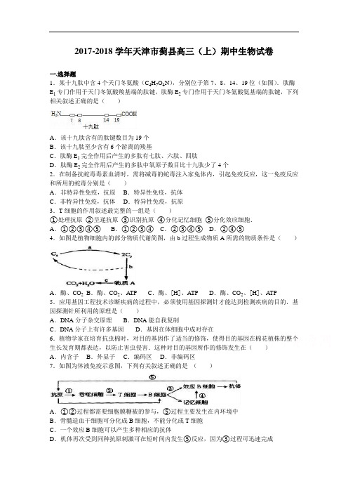 天津市蓟县2017-2018学年高三上学期期中生物试卷 Word版含解析
