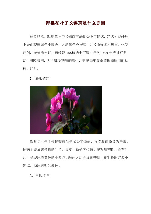 海棠花叶子长锈斑是什么原因