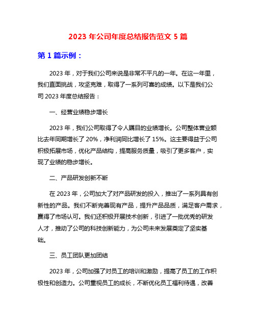 2023年公司年度总结报告范文5篇