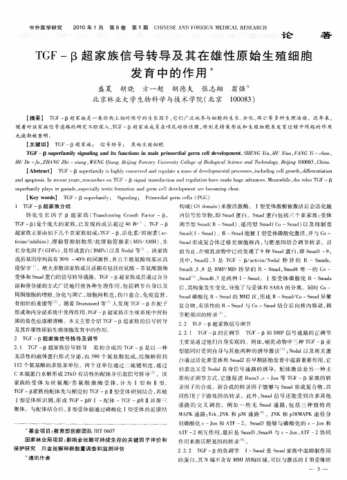 TGF—β超家族信号转导及其在雄性原始生殖细胞发育中的作用