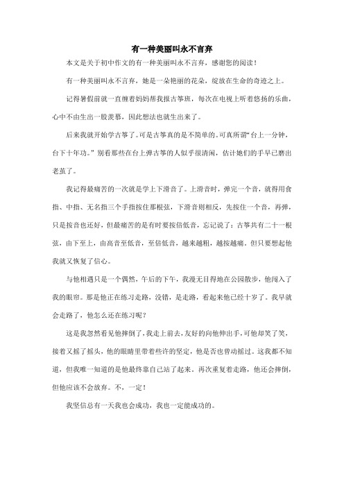 有一种美丽叫永不言弃_初中作文