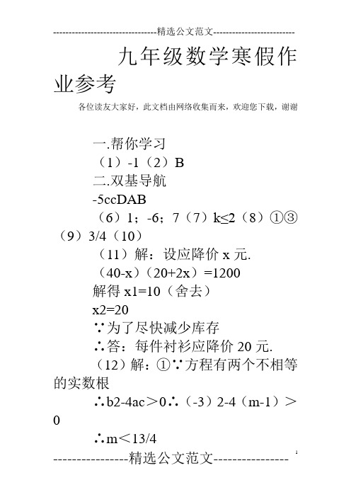 九年级数学寒假作业参考