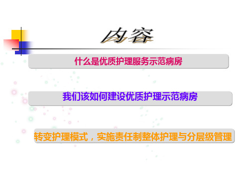 实施责任制整体护理建设优质护理服务示范病房PPT下载