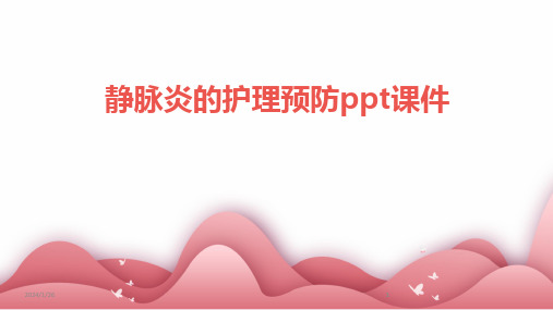 2024版静脉炎的护理预防ppt课件