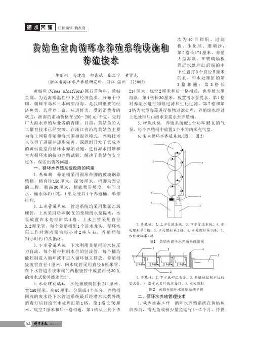 黄姑鱼室内循环水养殖系统设施和养殖技术