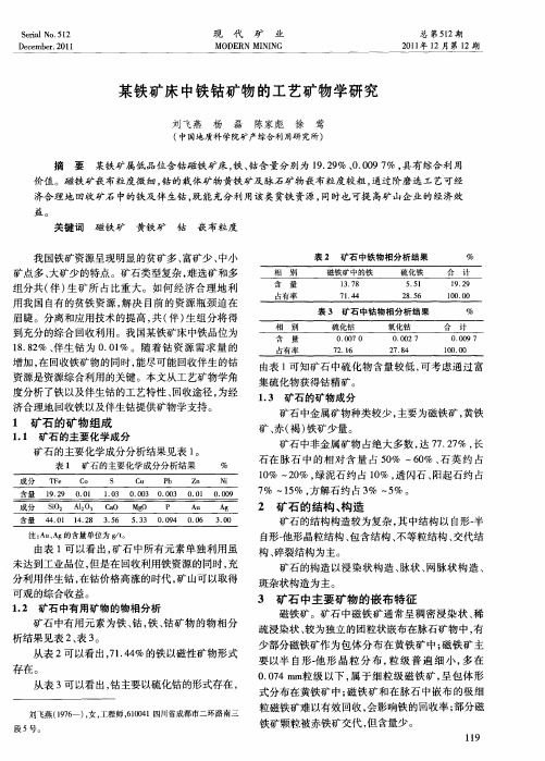 某铁矿床中铁钴矿物的工艺矿物学研究