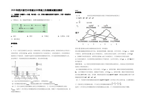 2020年四川省巴中市凌云中学高三生物测试题含解析