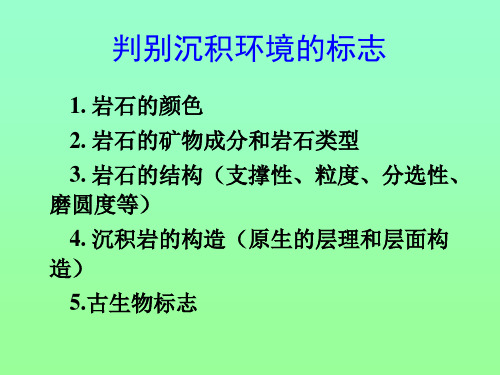 判别沉积环境的标志