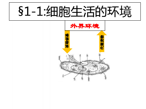 高中生物第一章人体的内环境与稳态第1节细胞生活的环