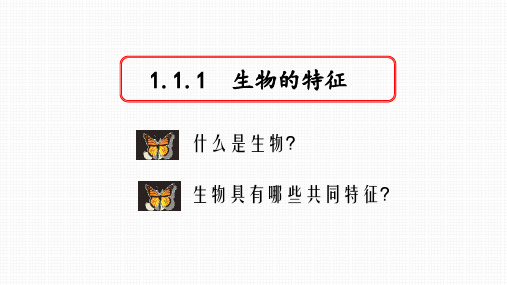 1.1.1 生物的特征(1课时)优秀课件