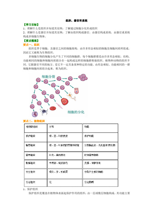 知识讲解 4.3组织、器官、系统