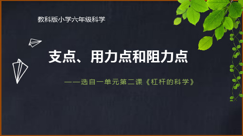 科学六年级上册支点、用力点和阻力点