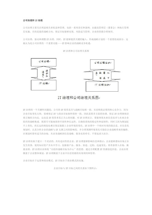 公司治理和IT治理