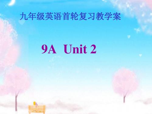 牛津译林版9A Unit2 colour revision课件(共24张PPT)