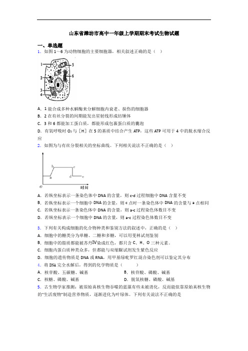 山东省潍坊市高中一年级上学期期末考试生物试题