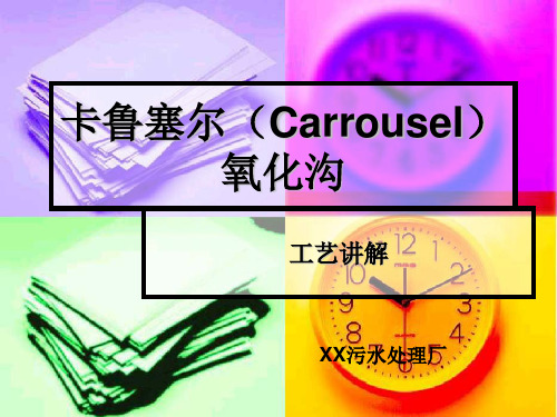 卡鲁塞尔(Carrousel)氧化沟工艺讲解