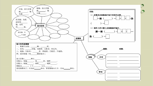 生物学中考复习系统复习2：观察生物结构