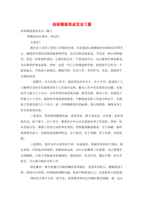 挂职锻炼表态发言三篇