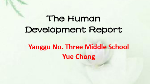 县优质课TheHumanDevelopmentReport