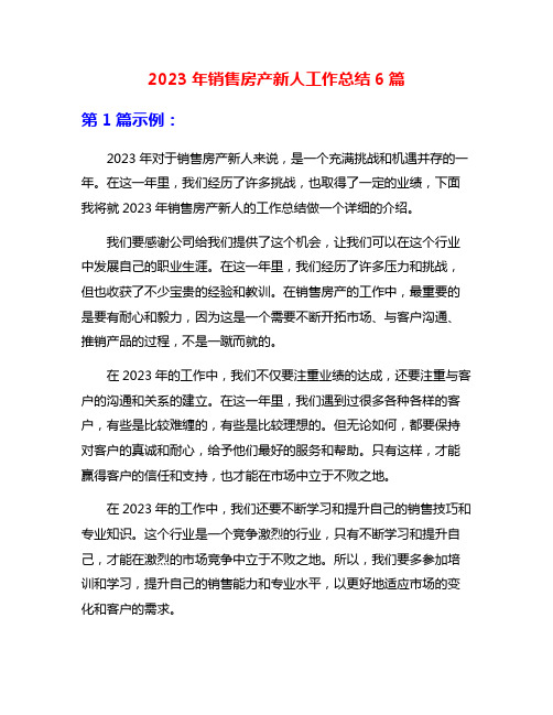 2023年销售房产新人工作总结6篇