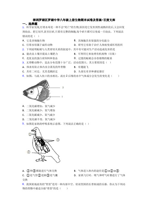 深圳罗湖区罗湖中学八年级上册生物期末试卷及答案-百度文库