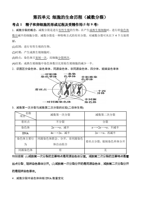 生物+第四单元2+教案