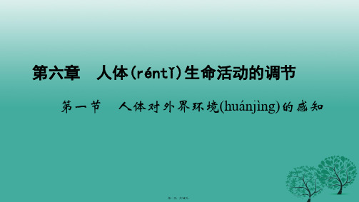四清导航七年级生物下册第六章第一节人体对外界环境的感知课件新版新人教版1228212