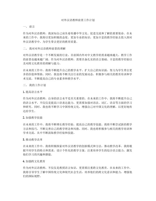 对外汉语教师前景工作计划