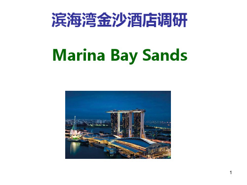 滨海湾金沙酒店调研PPT课件