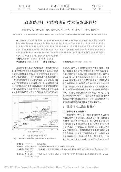 致密储层孔隙结构表征技术及发展趋势_蒋裕强