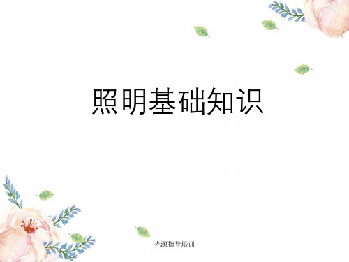 光源指导培训