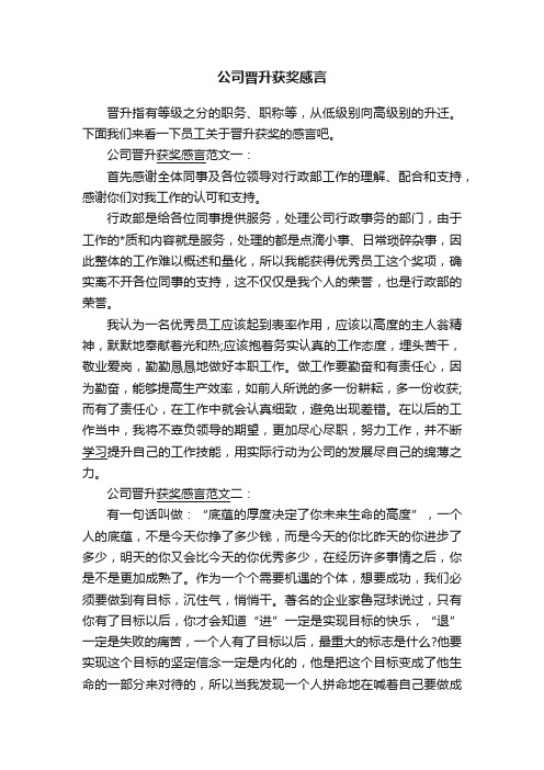 公司晋升获奖感言