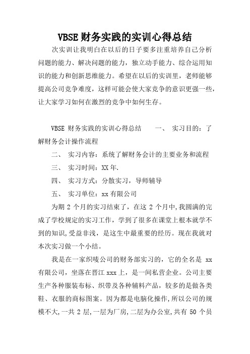 VBSE财务实践的实训心得总结