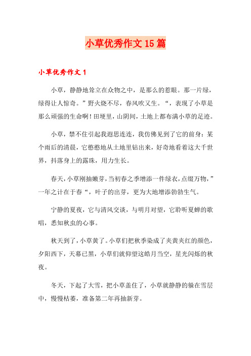 小草优秀作文15篇