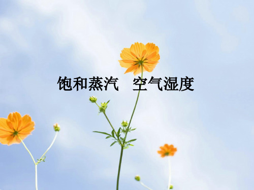 饱和蒸汽 空气湿度PPT教学课件