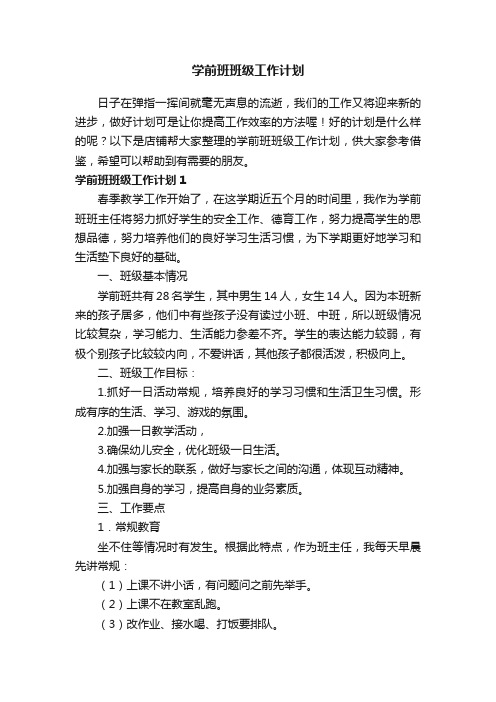 学前班班级工作计划