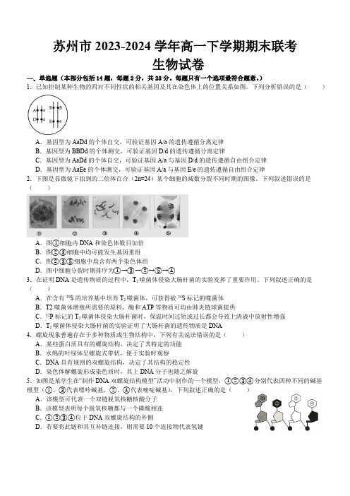 江苏省苏州市2023-2024学年高一下学期期末联考生物学试卷(含答案)