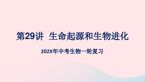 (人教通用)中考生物一轮复习第29讲生命起源和生物进化课件