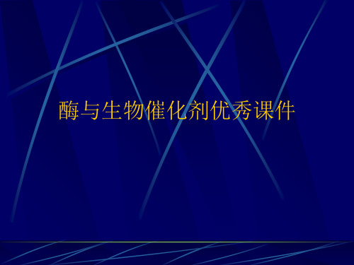 酶与生物催化剂优秀课件