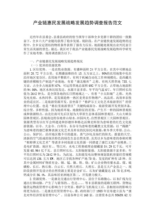 产业链惠民发展战略发展趋势调查报告范文