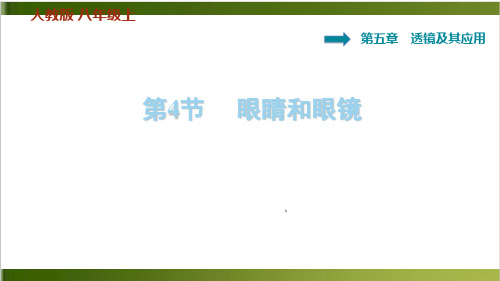 人教版教材《眼睛和眼镜》专家课件1