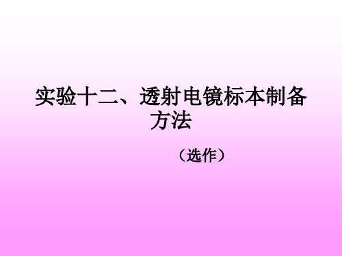 实验十二、透射电镜标本制备方法