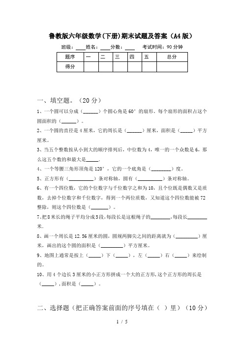 鲁教版六年级数学(下册)期末试题及答案(A4版)