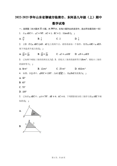 2022-2023学年山东省聊城市临清市、东阿县九年级(上)期中数学试题及答案解析