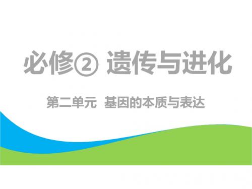 高考生物一轮复习第2部分遗传与进化第二单元基因的本质与表达第1讲DNA是主要的遗传物质课件