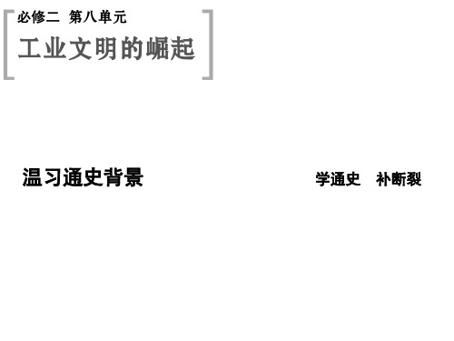 2015高考历史(山东)一轮课件：第17课时 新航路的开辟和欧洲殖民扩张与掠夺