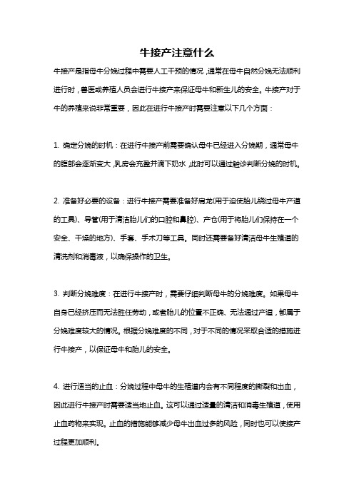 牛接产注意什么